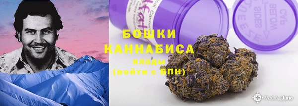 молекула духа Гусиноозёрск
