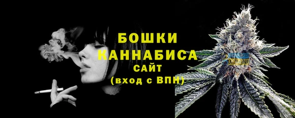 молекула духа Гусиноозёрск
