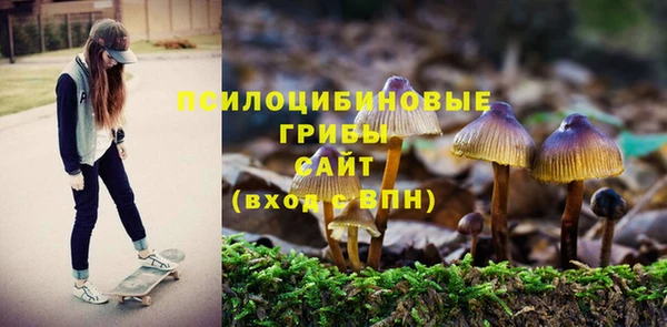 молекула духа Гусиноозёрск