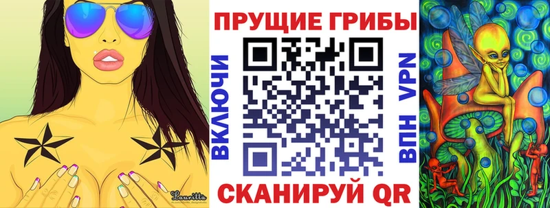 Купить где  Опочка  Галлюциногенные грибы GOLDEN TEACHER 
